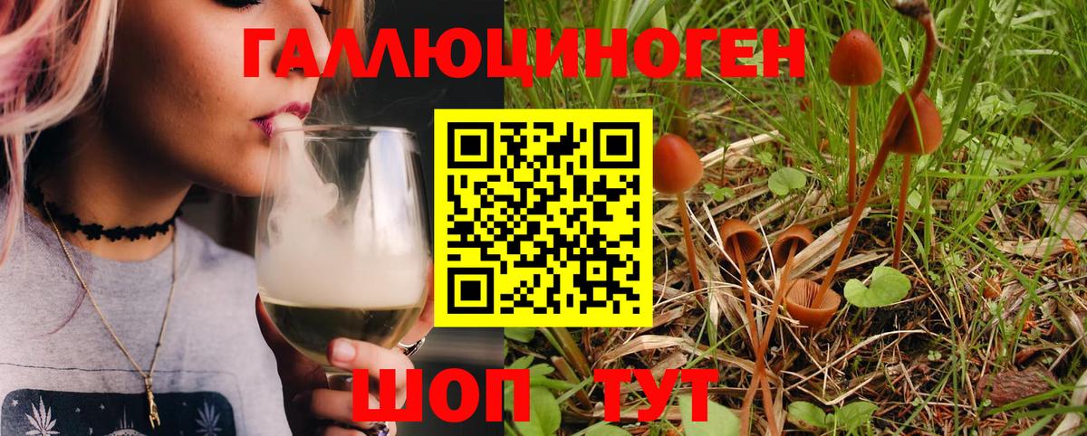 Псилоцибиновые грибы Psilocybine cubensis  Вход с VPN  Киров 